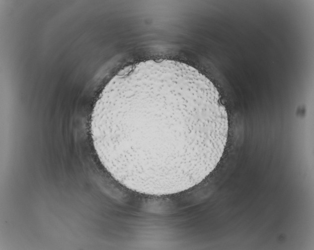 X0000114000716200911131141