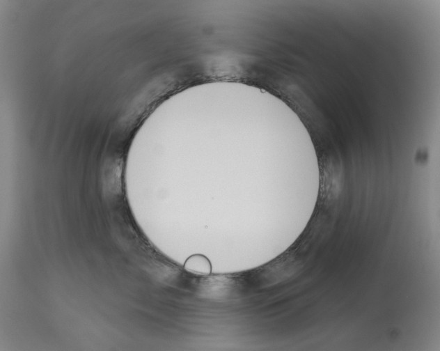 X0000114000717200911131141