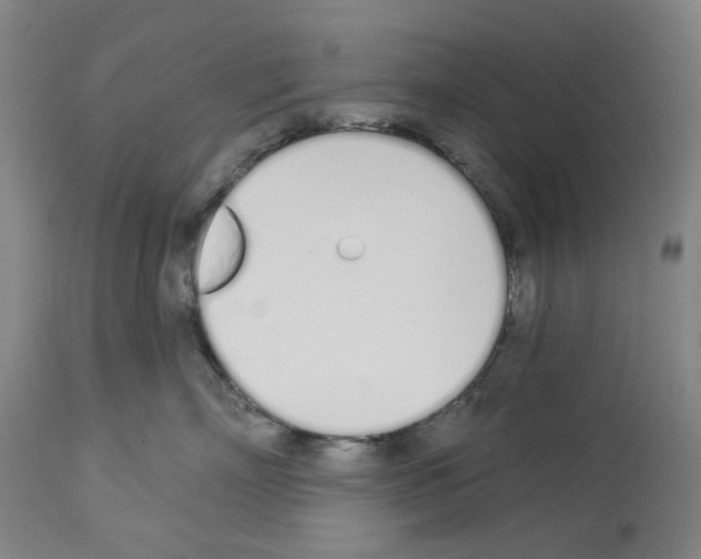 X0000114000718200911131141