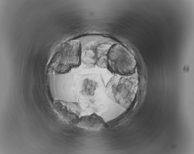 X0000114000721200911131140