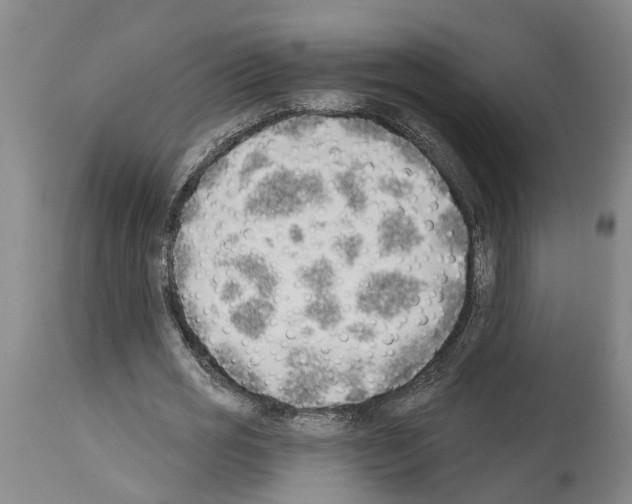 X0000114000725200911131140