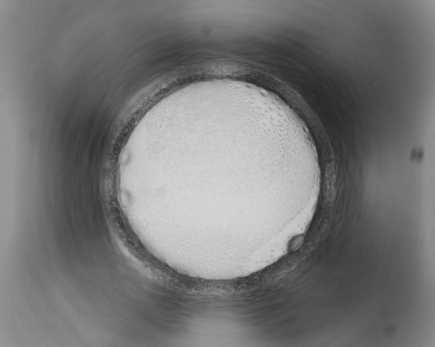 X0000114000726200911131140