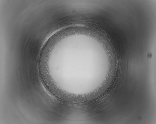 X0000114000728200911131140