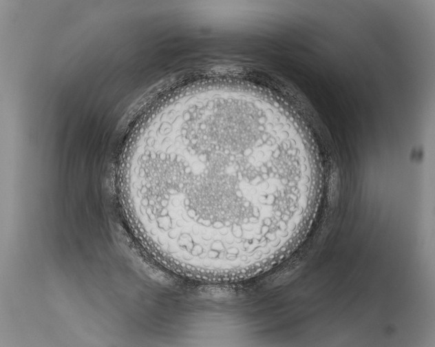X0000114000729200911131140