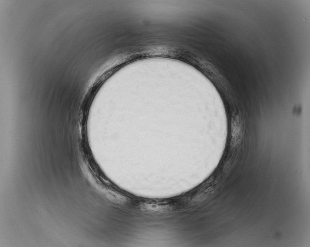 X0000114000730200911131140