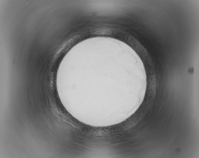 X0000114000731200911131140