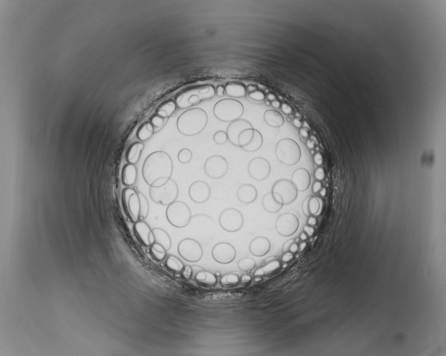 X0000114000734200911131140