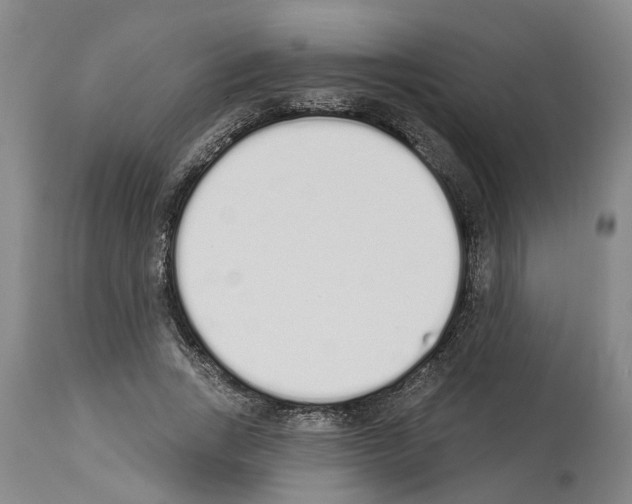 X0000114000735200911131140