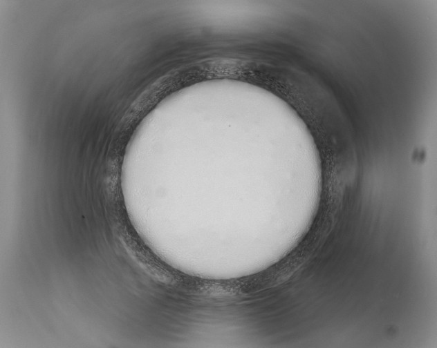 X0000114000737200911131140