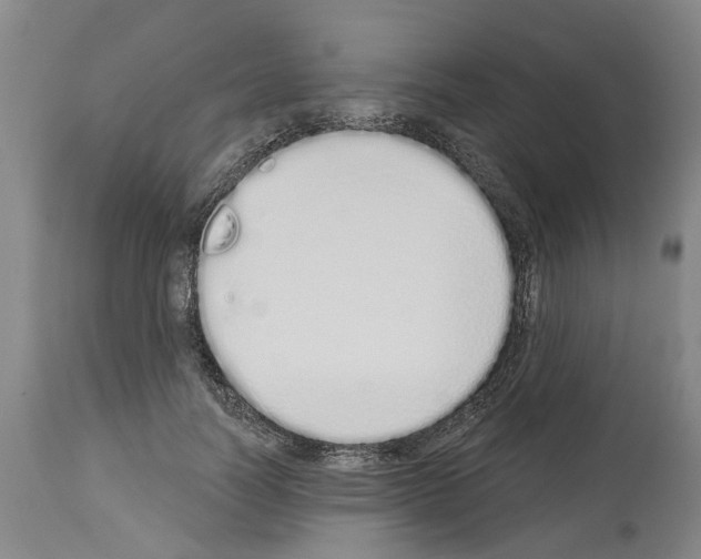 X0000114000746200911131140