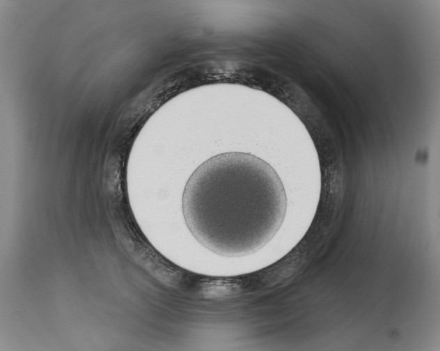 X0000114000754200911131140