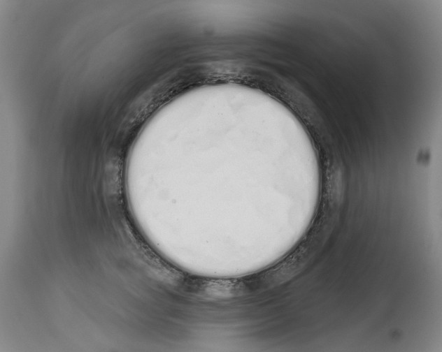 X0000114000757200911131140
