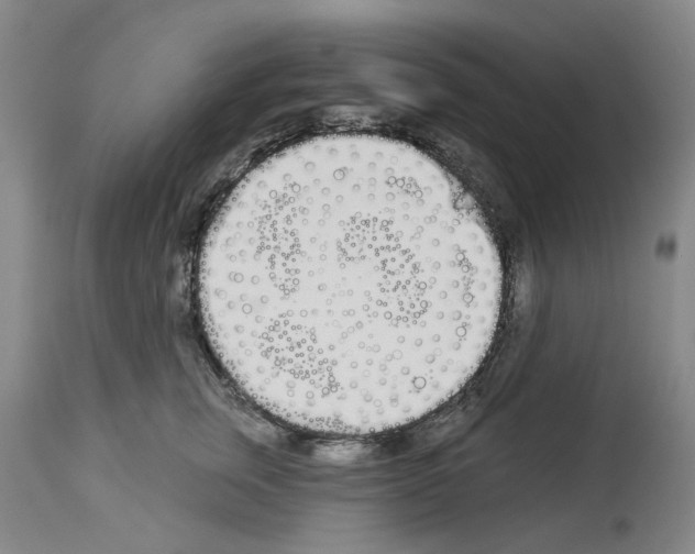 X0000114000759200911131140
