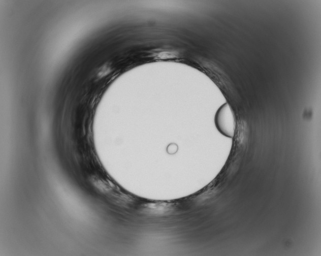 X0000114000763200911131140