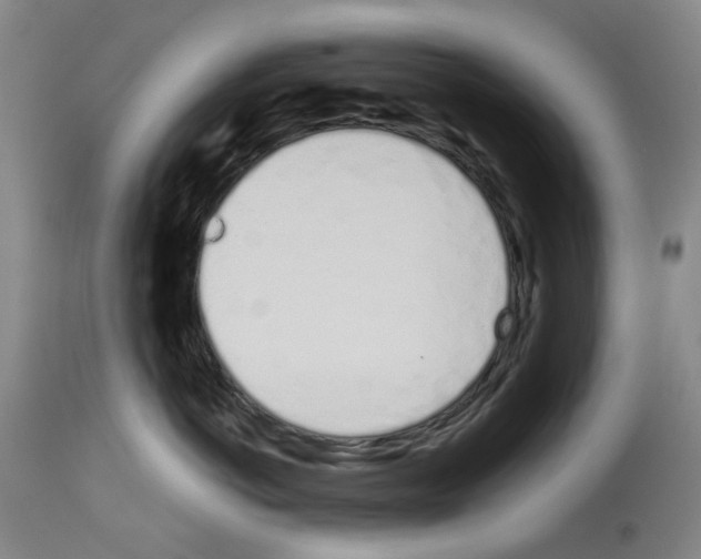 X0000114000766200911131141