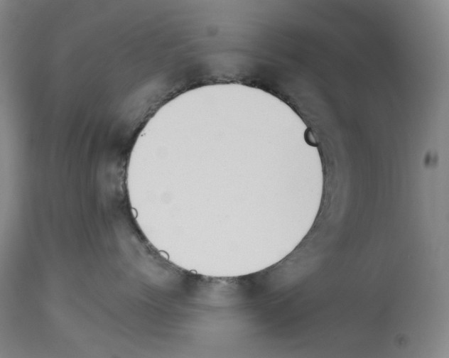 X0000114000768200911131141