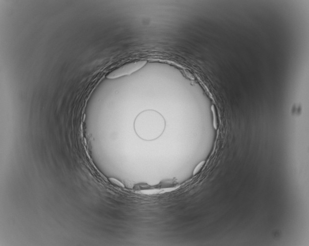 X0000114000769200911131140