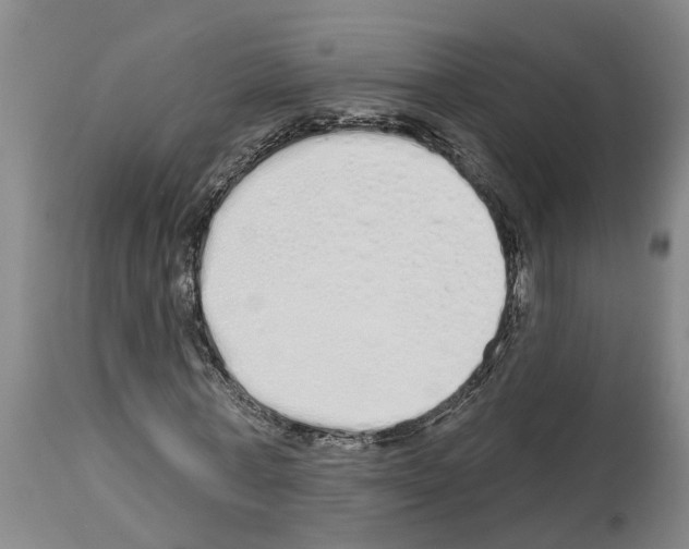 X0000114000771200911131140