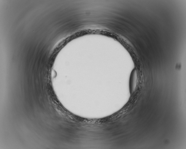 X0000114000775200911131139