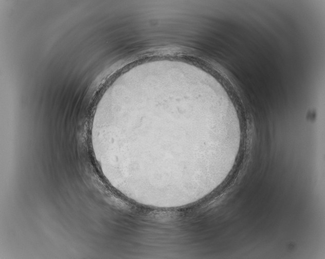 X0000114000778200911131139