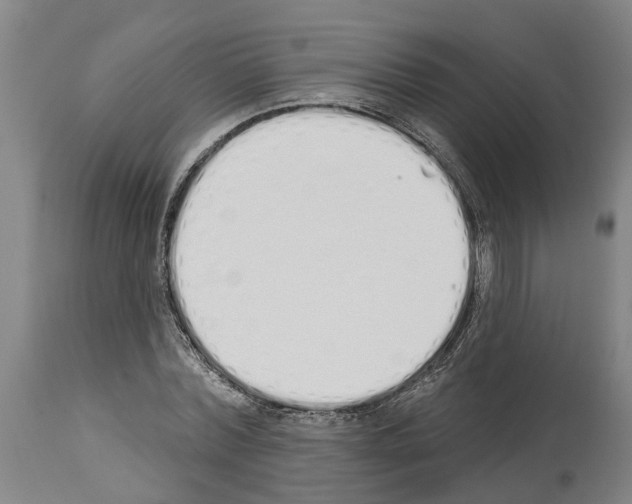 X0000114000780200911131139