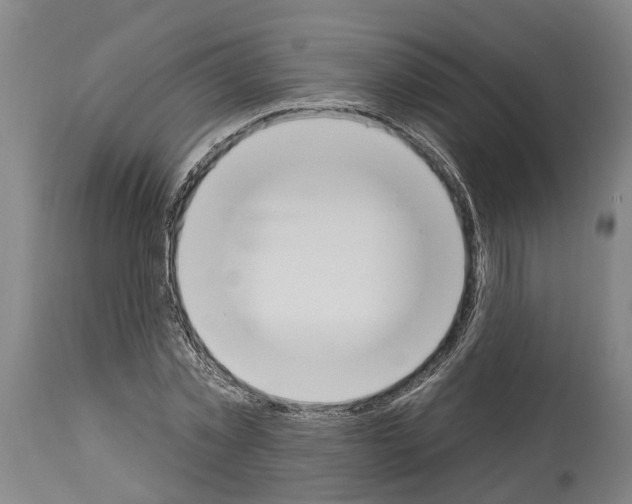 X0000114000781200911131139