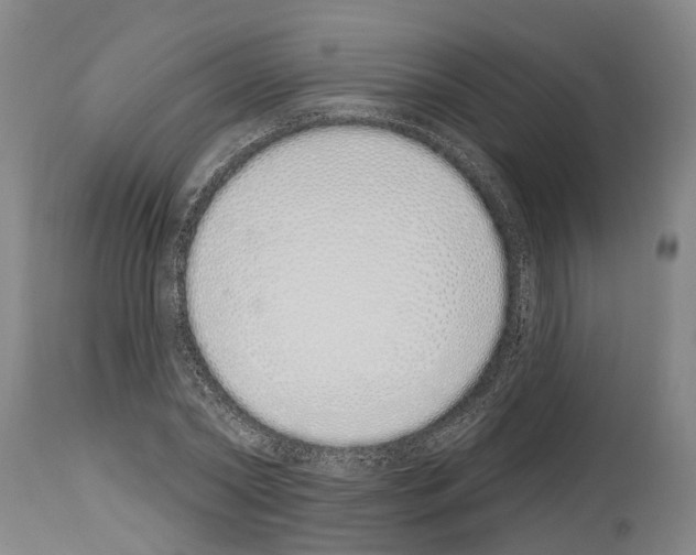 X0000114000782200911131139