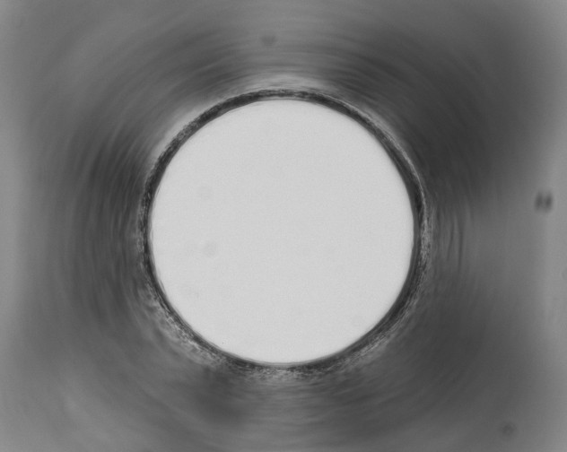 X0000114000783200911131139