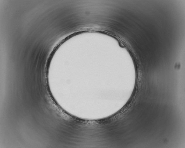 X0000114000784200911131139