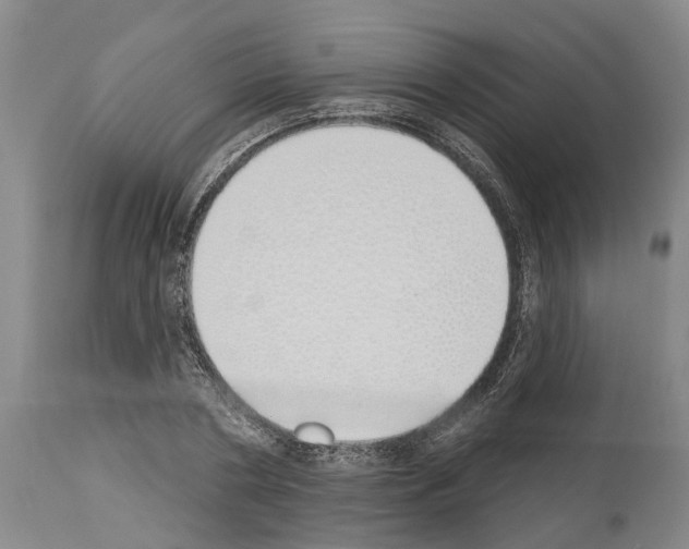 X0000114000786200911131139