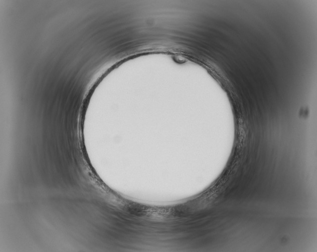 X0000114000788200911131139