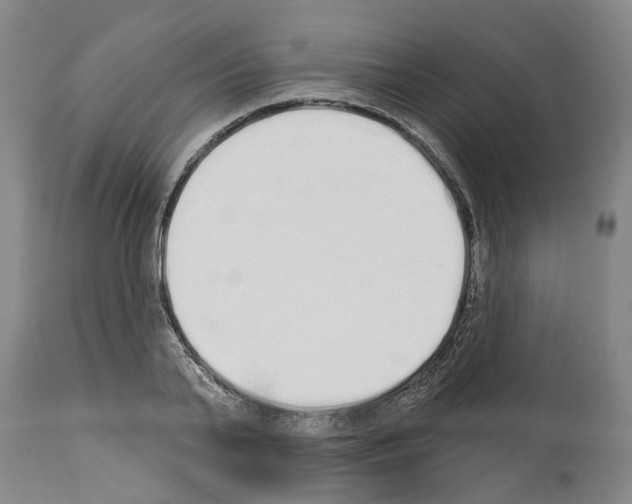 X0000114000791200911131139