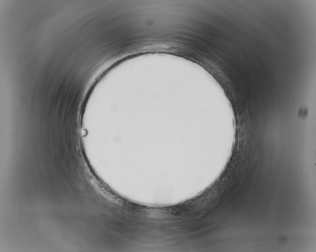 X0000114000792200911131139