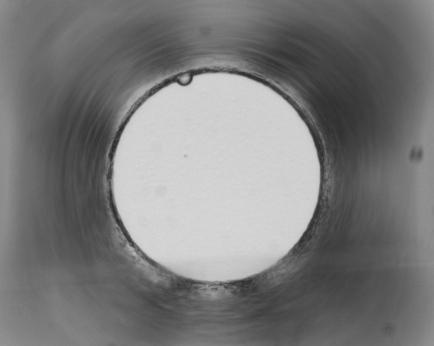 X0000114000799200911131139