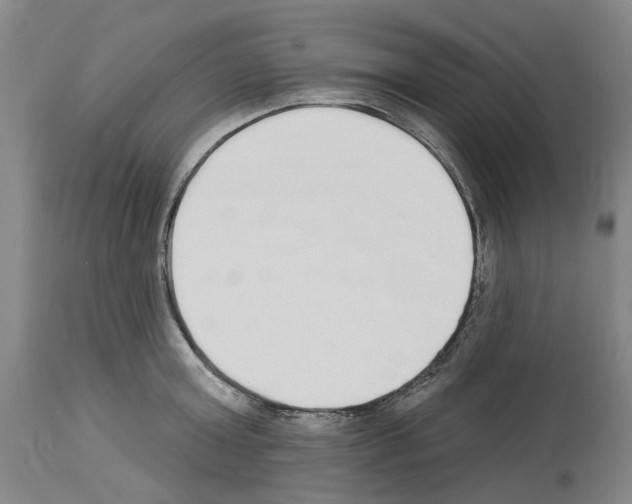 X0000114000803200911131139