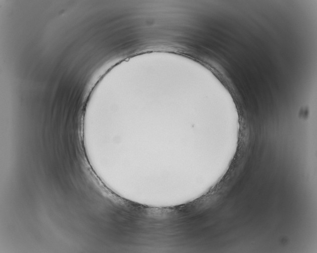X0000114000804200911131139