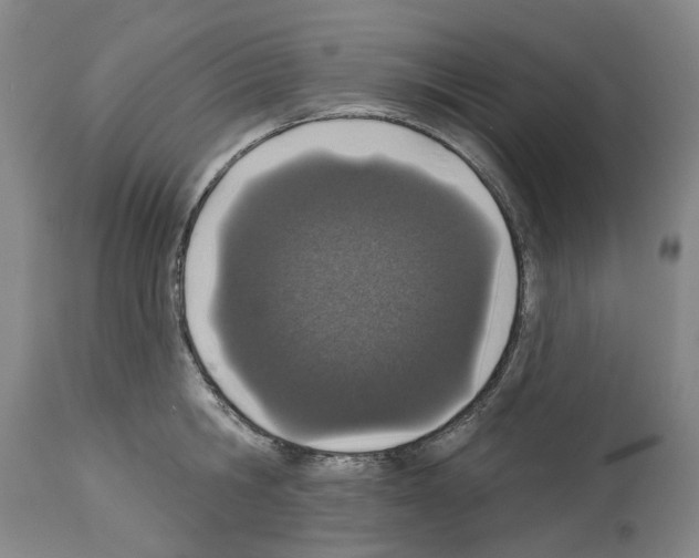 X0000114000806200911131139