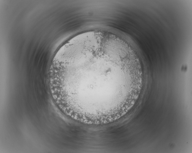X0000114000807200911131139