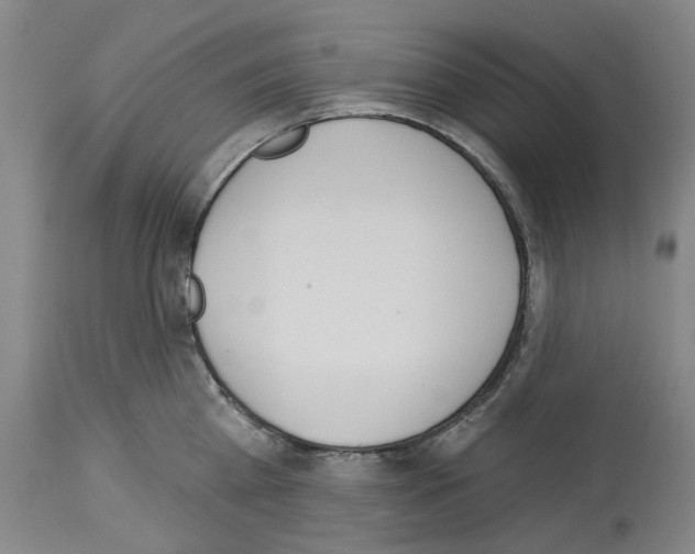 X0000114000809200911131139
