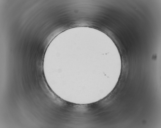 X0000114000810200911131139