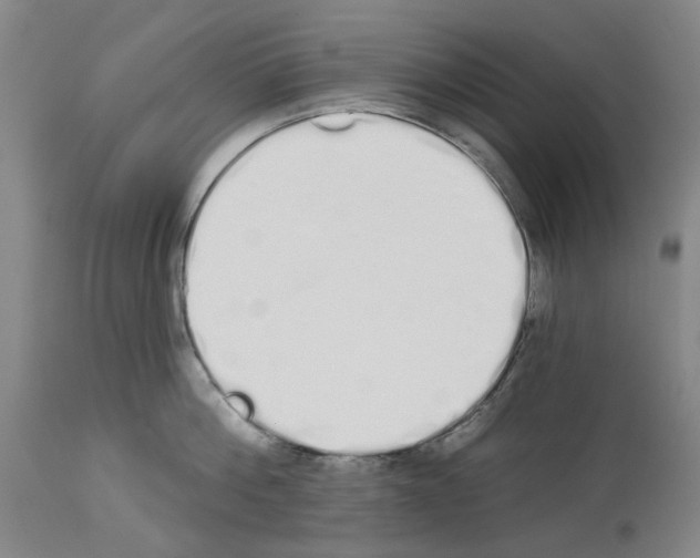 X0000114000812200911131139