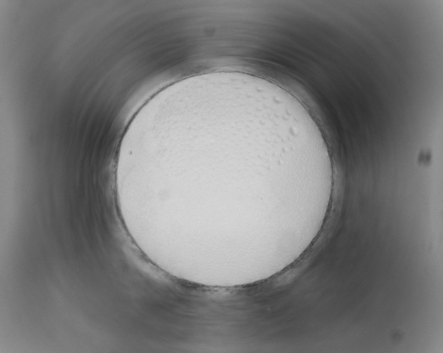 X0000114000814200911131139