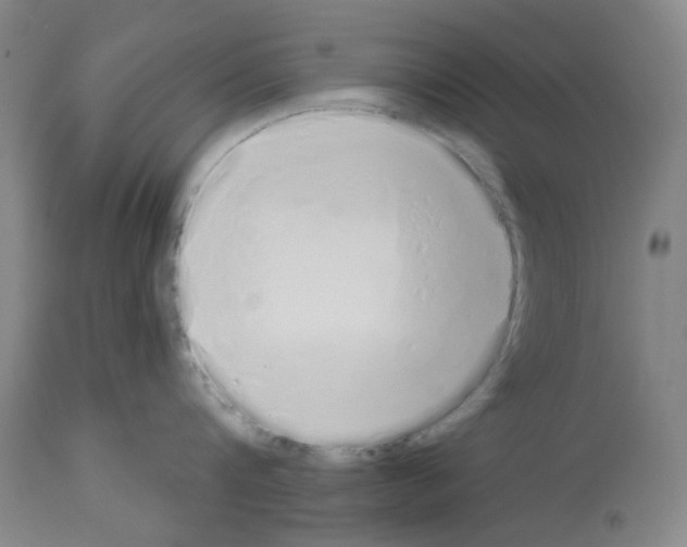 X0000114000816200911131139