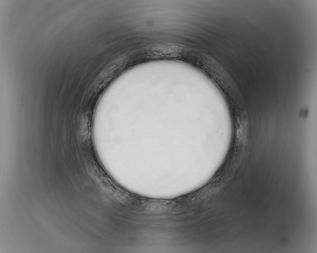 X0000114000819200911131138