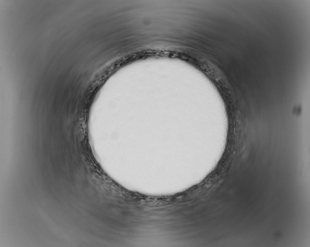 X0000114000821200911131138