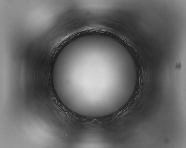 X0000114000822200911131138