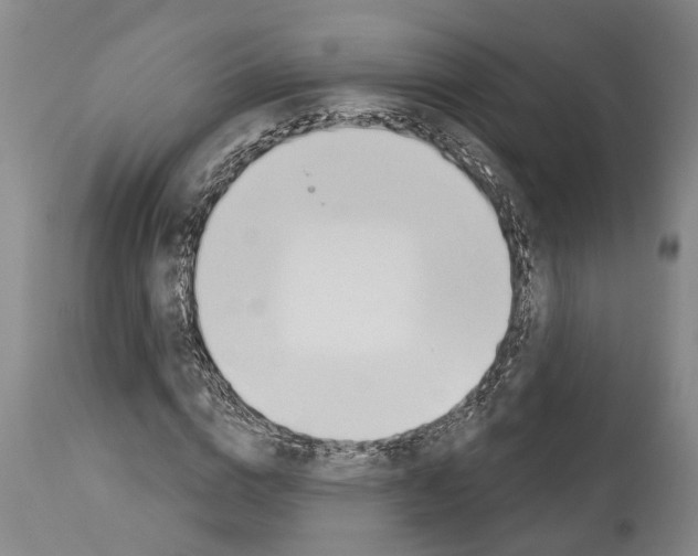 X0000114000824200911131138
