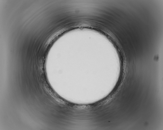 X0000114000826200911131138