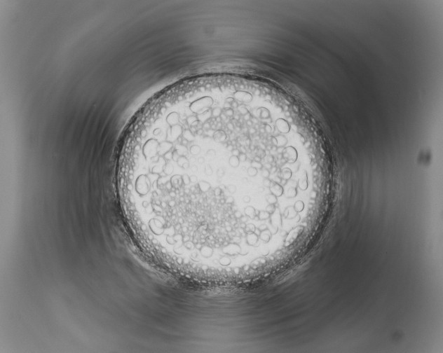 X0000114000830200911131138