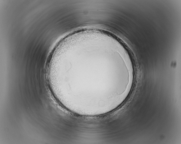 X0000114000832200911131138